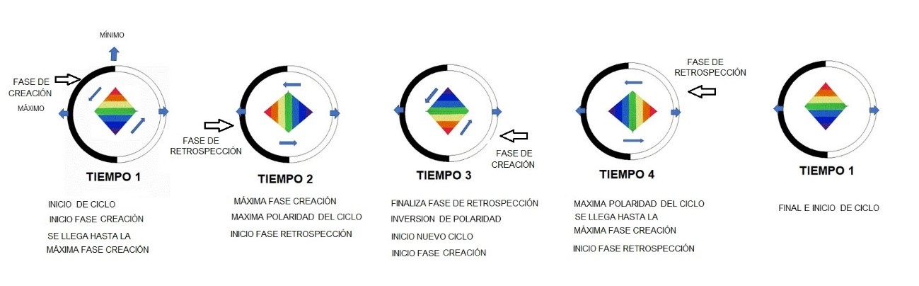 Las cuatro fases del ciclo de la 1ª dimensión Las cuatro fases del ciclo de la 1ª dimensión