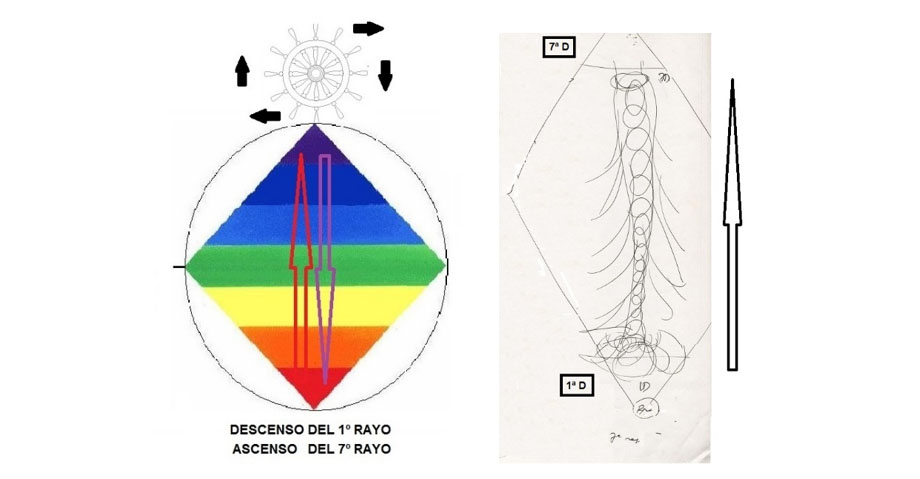 Una fuerza descendente y otra ascendente. Ambas son fuerza magnas