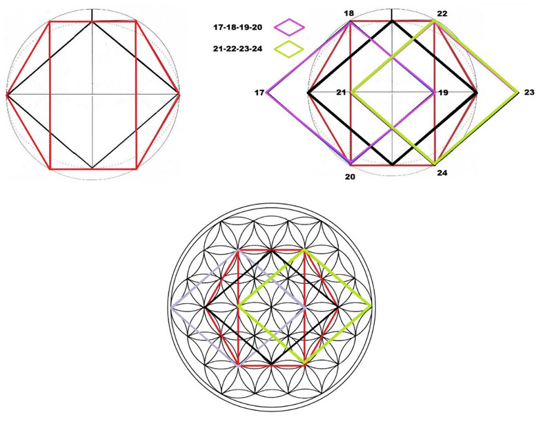 Relación con los centros de las margaritas
