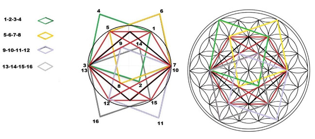 Los vértices de los nuevos Rombos se asientan en el centro de las margaritas