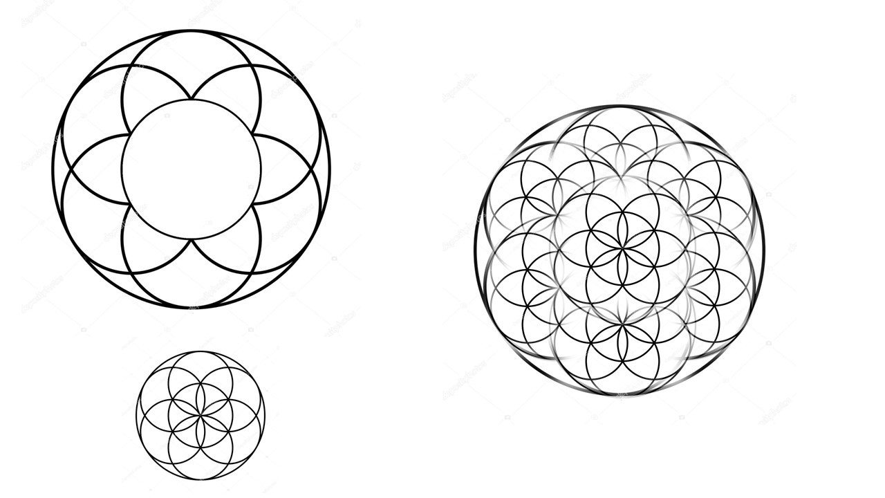 Cada Semilla pequeña puede caber dentro de cada circunferencia
