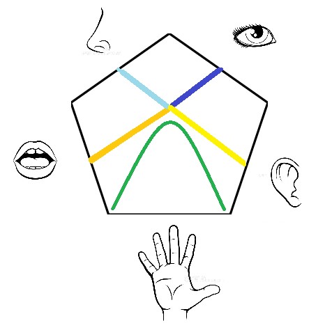 Las relaciones de los sentidos y las dimensiones Las relaciones de los sentidos y las dimensiones