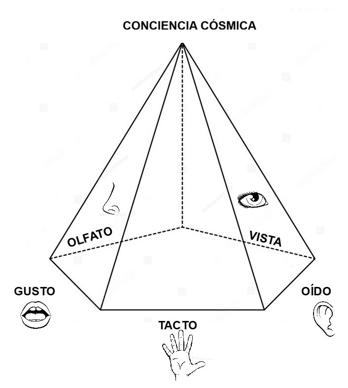 Los sentidos como portales Los sentidos como portales