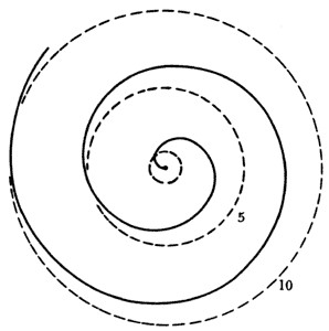 Espiral de Arquímedes Espiral de Arquímedes